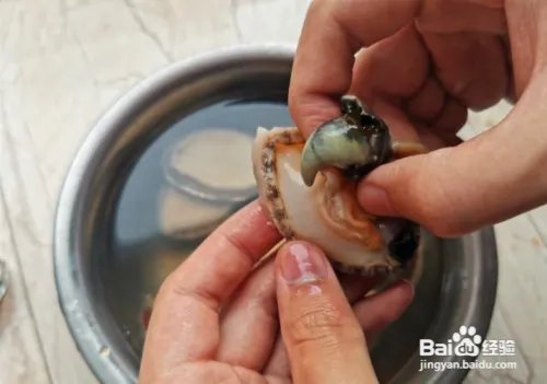 鲍鱼的做法及清洗