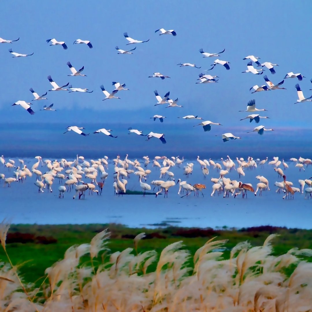 鄱阳湖在哪个省？鄱阳湖怎么读？