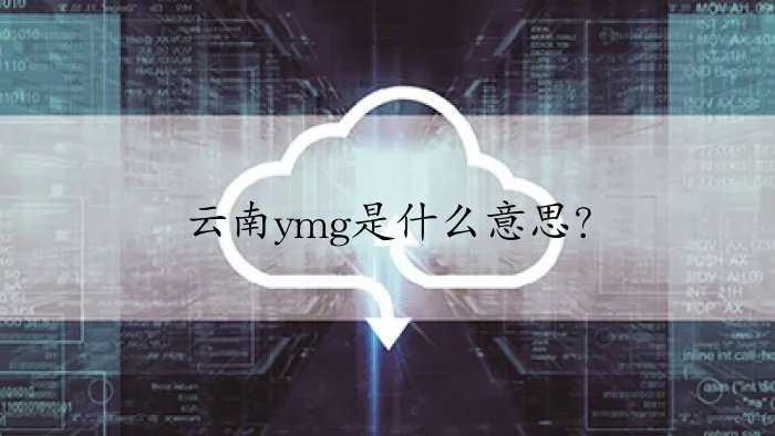 云南ymg是什么意思？