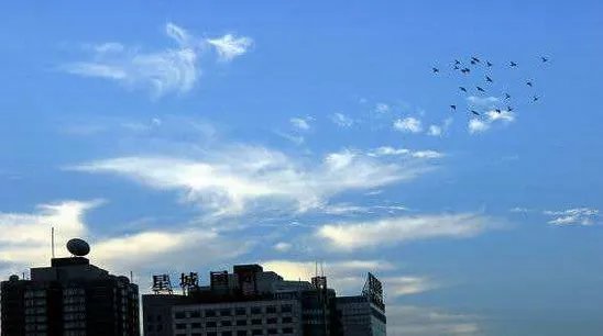 2017年全国空气质量怎么样？