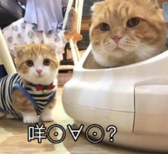 网络与新媒体专业怎么样？