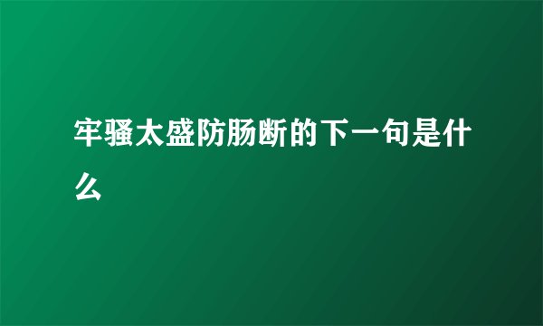 牢骚太盛防肠断的下一句是什么