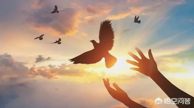 离婚后该怎样忘掉过去？