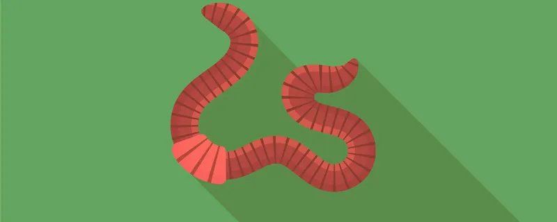 红虫是什么 红虫是什么虫