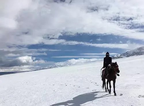 如何评价演员张晓晨？