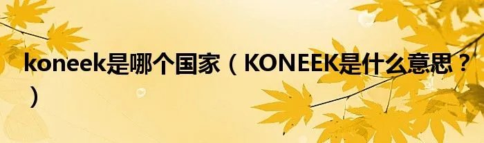 koneek是哪个国家（KONEEK是什么意思？）