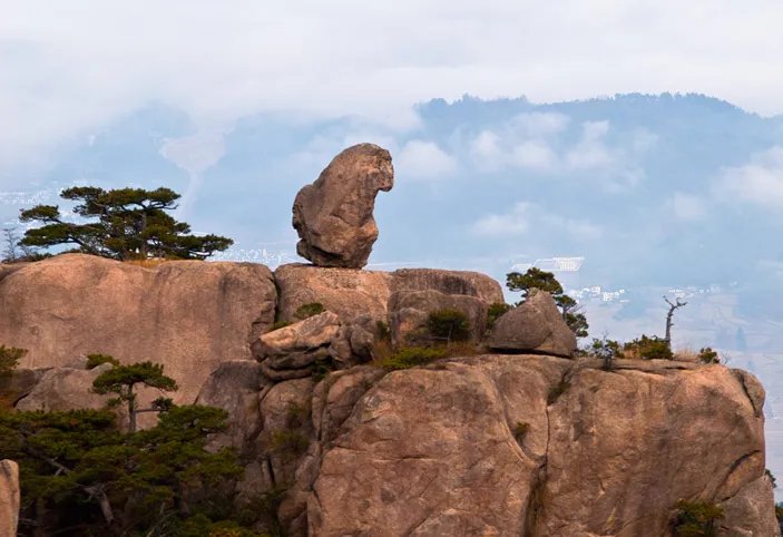 猴子观海就像什么