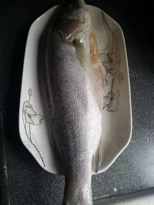 海鲈鱼的做法 最正宗的做法