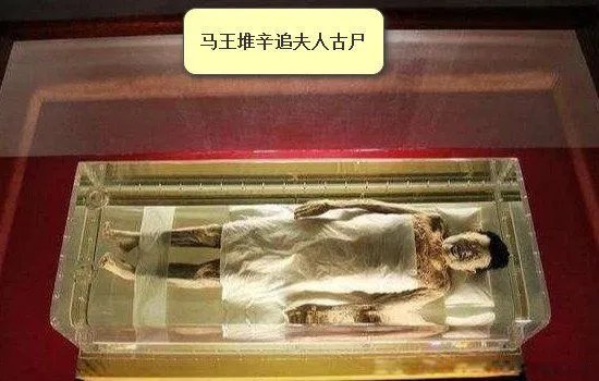 千年古尸产下活婴事件怎么回事 产下14斤婴儿还活着吗