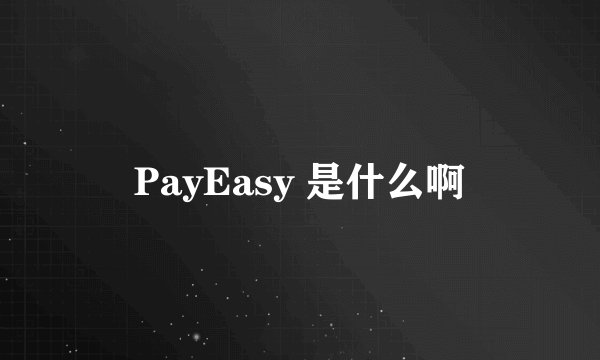 PayEasy 是什么啊