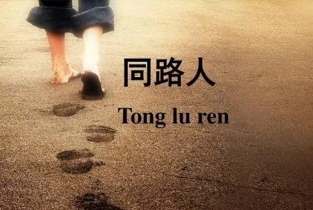 同路人歌词