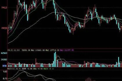 股票期权是什么意思