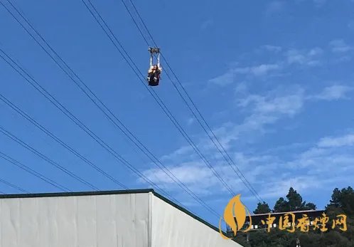 重庆回应女子玩高空项目坠落：坠落者为景区工作人员