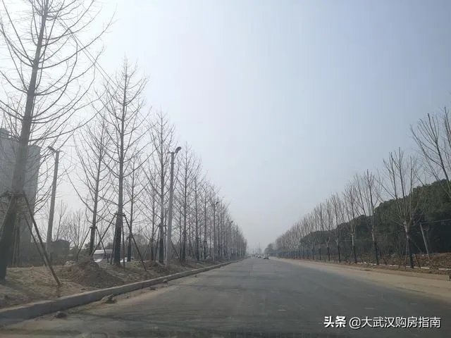 武汉硚口和东西湖的房子那个好