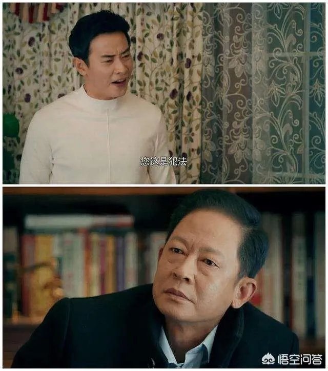 你怎么看电视剧《归去来》中王志文扮演的书望？