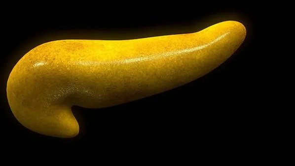 胆囊息肉有什么症状