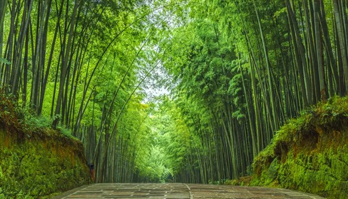 南屏晚钟的南屏在什么地方 南屏晚钟景点介绍