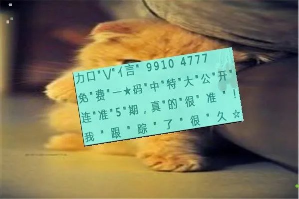 心平气和是什么意思，十二生肖那肖是心平气和