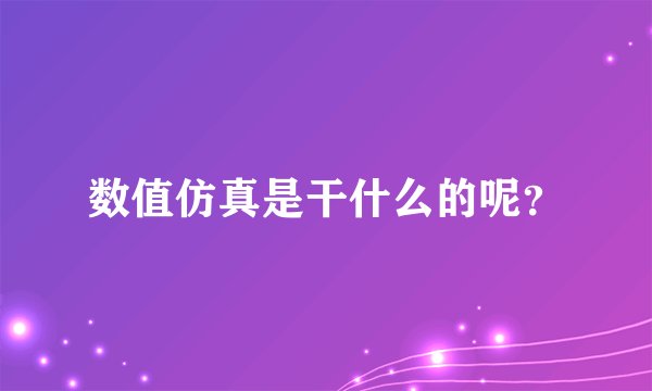 数值仿真是干什么的呢？