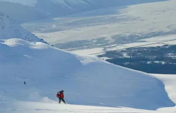 石家庄有哪些城市文化名片?