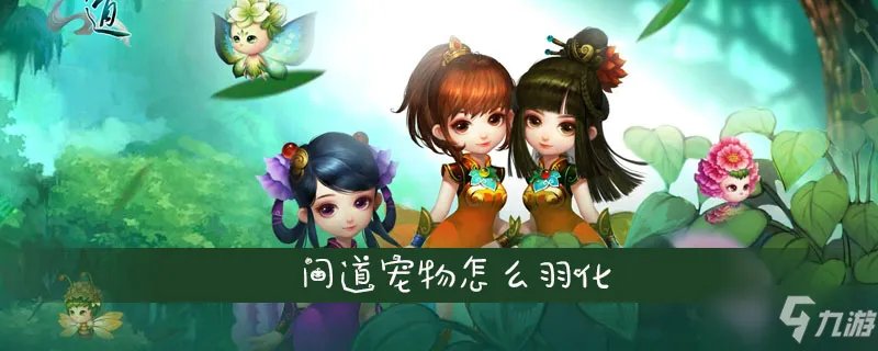 问道宠物羽化机制攻略 宠物怎么羽化