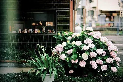 蔺逍遥签到系统小说蔺逍遥林倾雪(穿越)章节阅读