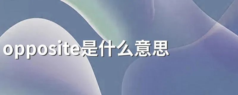 opposite是什么意思 opposite的意思是什么