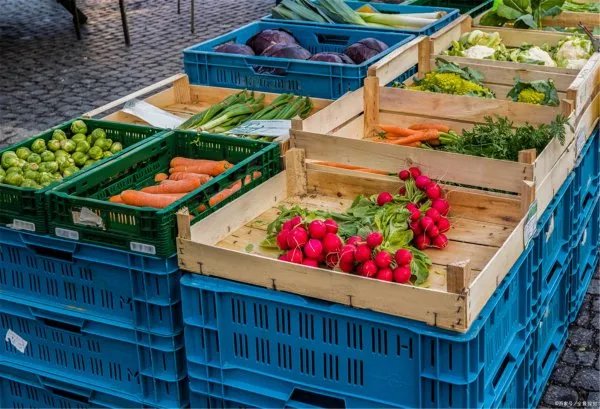 菜市场做什么生意好呢？？