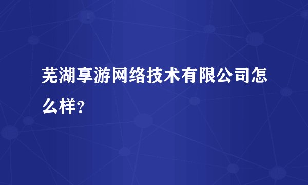 芜湖享游网络技术有限公司怎么样？
