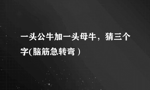 一头公牛加一头母牛，猜三个字(脑筋急转弯）