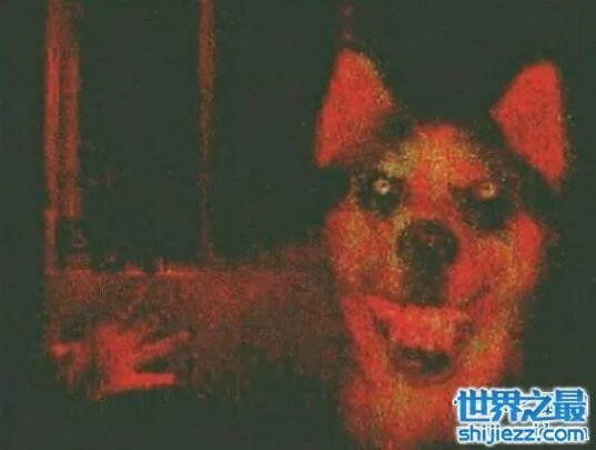 微笑狗恐怖原图，灵异的smile.jpg其实是ps出来的 
