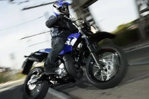 霸的拼音和部首