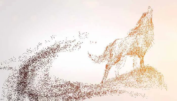 白眼狼是什么意思 白眼狼的意思是什么