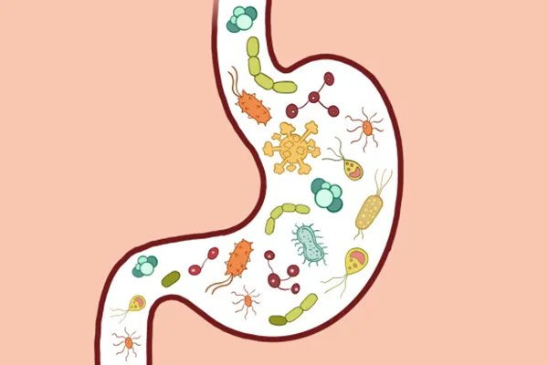 肠炎患者吃什么食物好