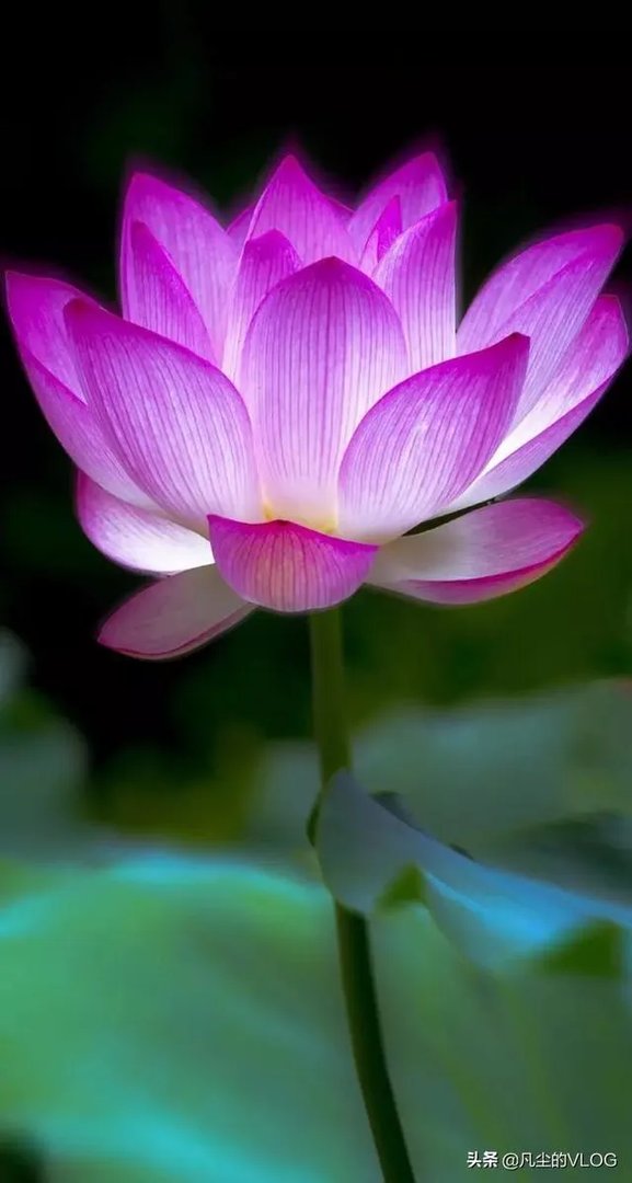 三地推行周末2.5天假，以此来刺激消费，你怎么看？