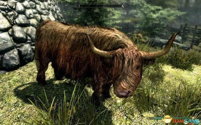 上古卷轴5:天际重制版有什么不同 老滚5重制新内容