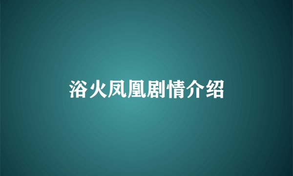 浴火凤凰剧情介绍