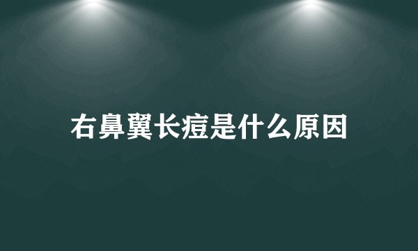 右鼻翼长痘是什么原因