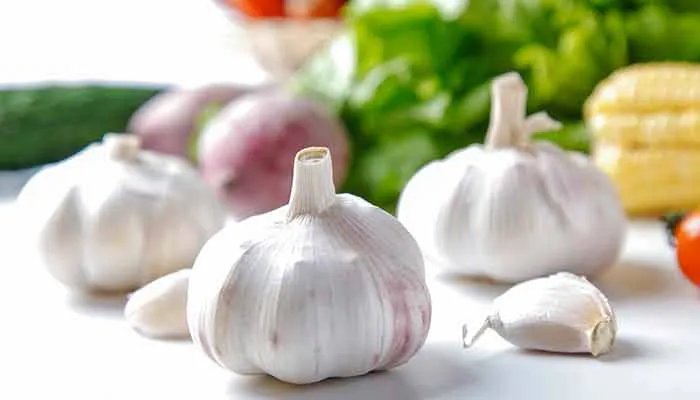大蒜的功效与作用 大蒜图片