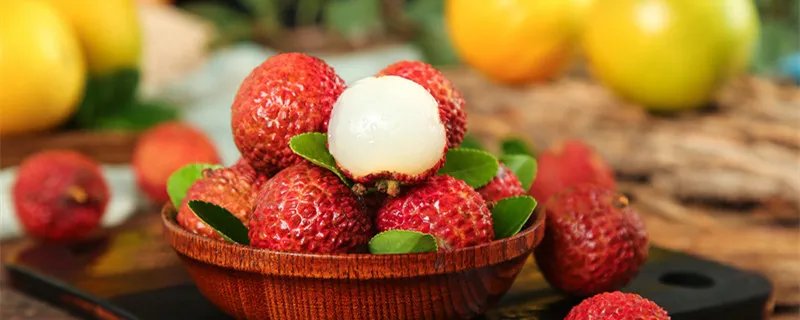 日啖荔枝三百颗，不辞长作岭南人啖的意思是什么