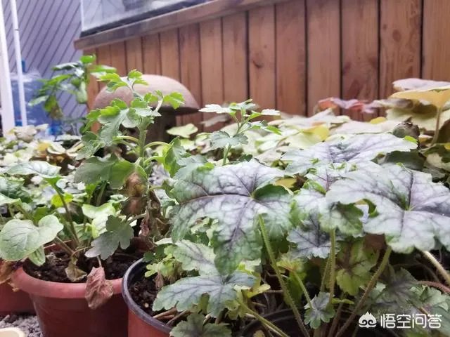 自驾游，你遇到过艳遇吗？哪里的景区才能遇到？