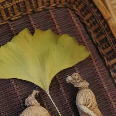 孕妇能吃话梅吗