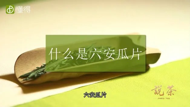 六安瓜片是什么茶