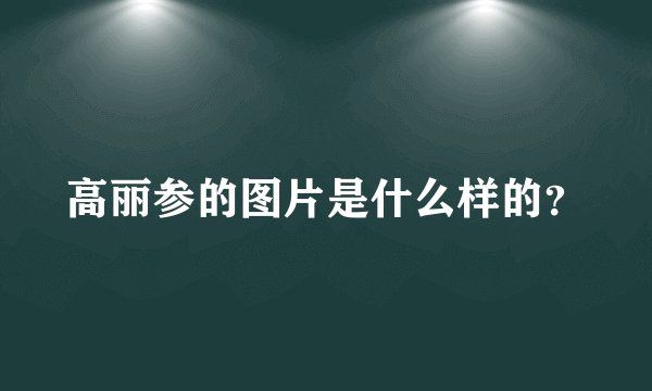 高丽参的图片是什么样的？
