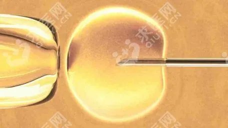 济南人工授精最好的医院是哪家?