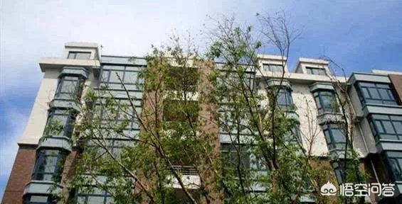 现在适合在哈尔滨买房吗？