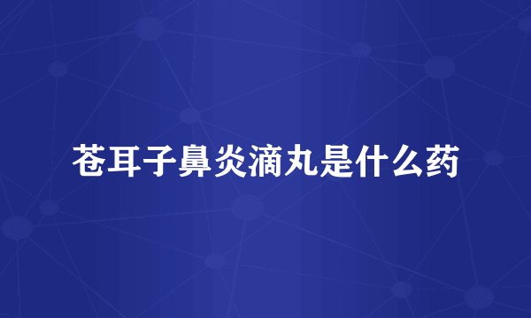 苍耳子鼻炎滴丸是什么药