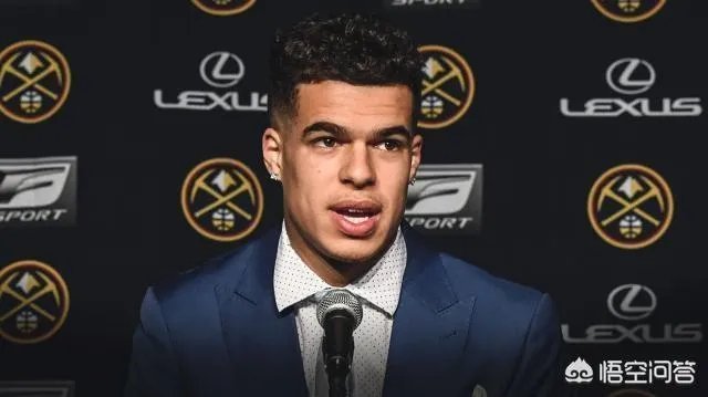 如何评价迈克尔波特？