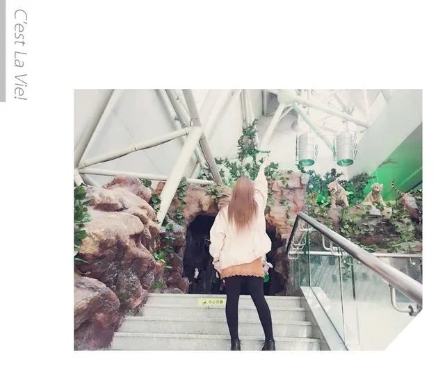 哈尔滨有哪些免费的景点？