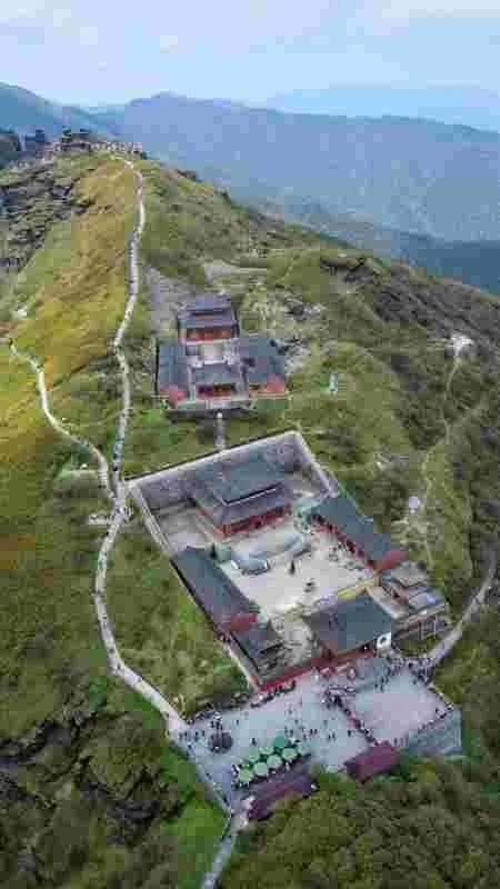 商调函和调令的区别有哪些？